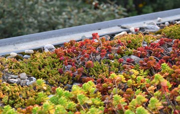 the cost of Llwynypia green roof installation