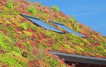Llwynypia living roof systems